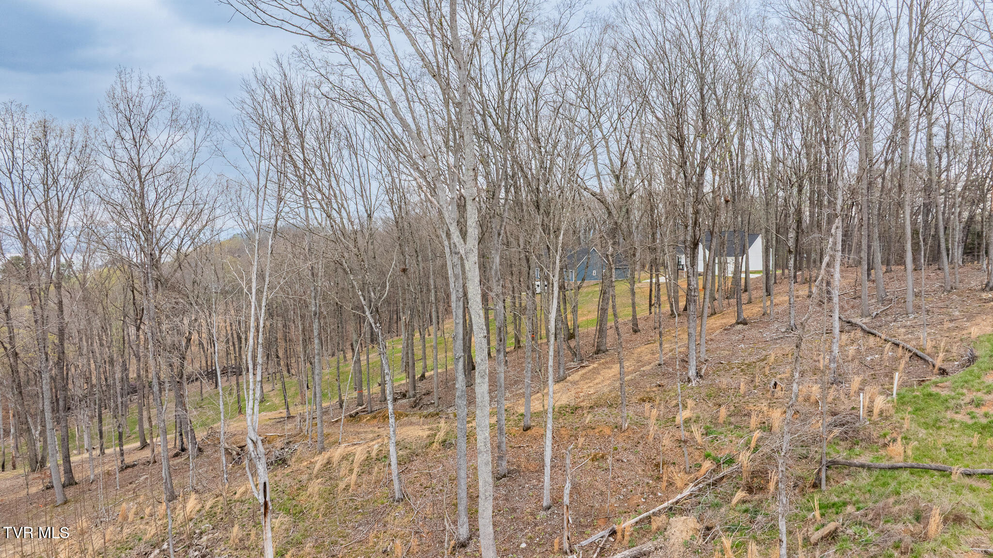 Lot 3 Lowe Drive, Unit 3 Talbott, TN 37877 - Photo 6 of 10 dji_fly_20260327_121054_0568_17746283478