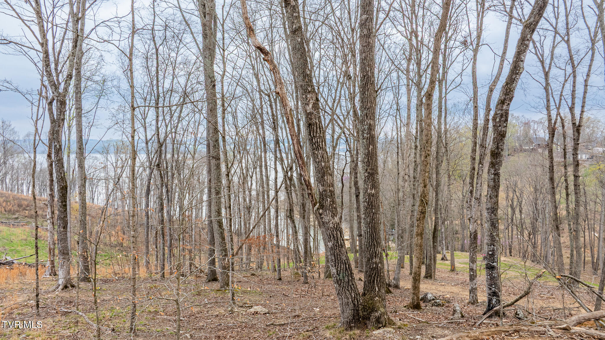 Lot 3 Lowe Drive, Unit 3 Talbott, TN 37877 - Photo 7 of 10 dji_fly_20260327_121324_0571_17746283468