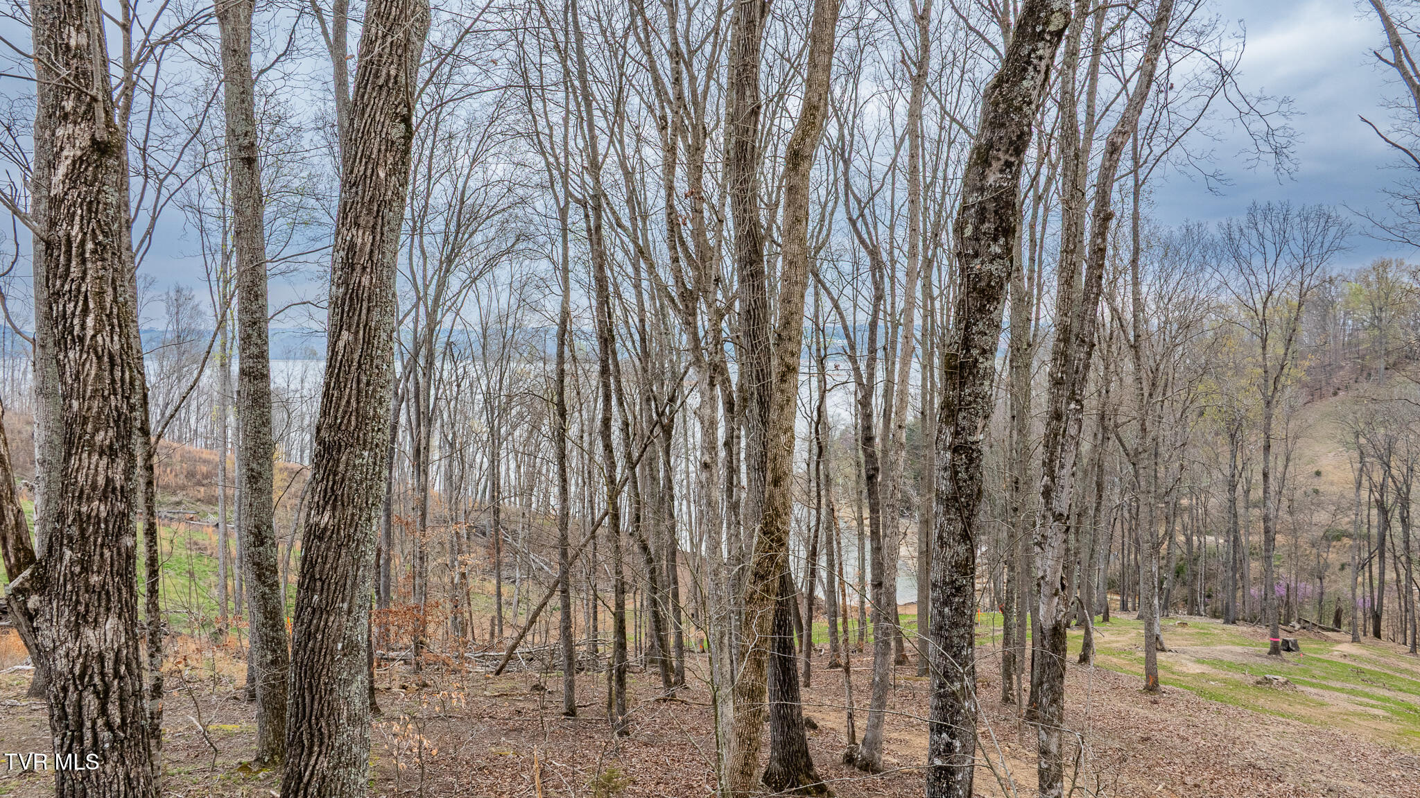 Lot 3 Lowe Drive, Unit 3 Talbott, TN 37877 - Photo 8 of 10 dji_fly_20260327_121400_0574_17746283458