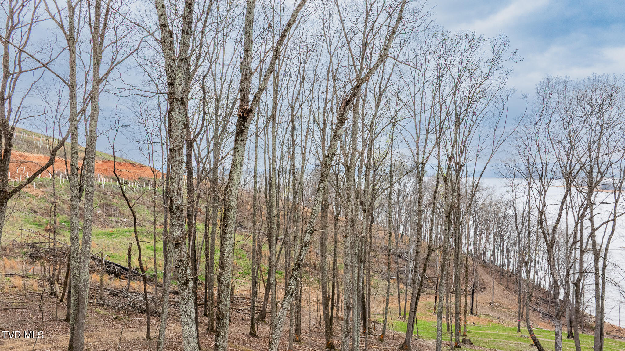 Lot 3 Lowe Drive, Unit 3 Talbott, TN 37877 - Photo 9 of 10 dji_fly_20260327_121424_0577_17746283449