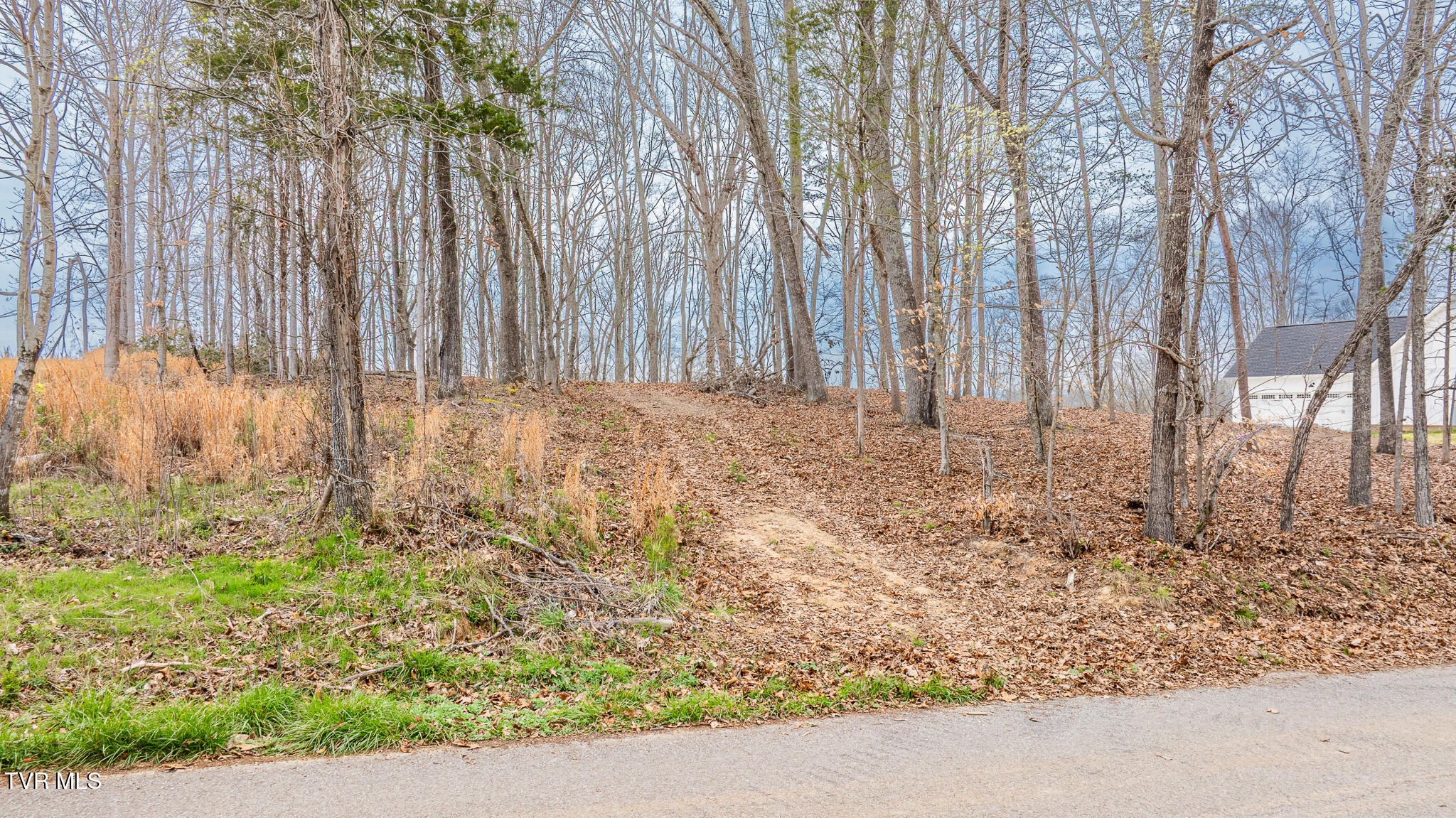 Lot 3 Lowe Drive, Unit 3 Talbott, TN 37877 - Photo 10 of 10 dji_fly_20260327_121816_0580_17746283437