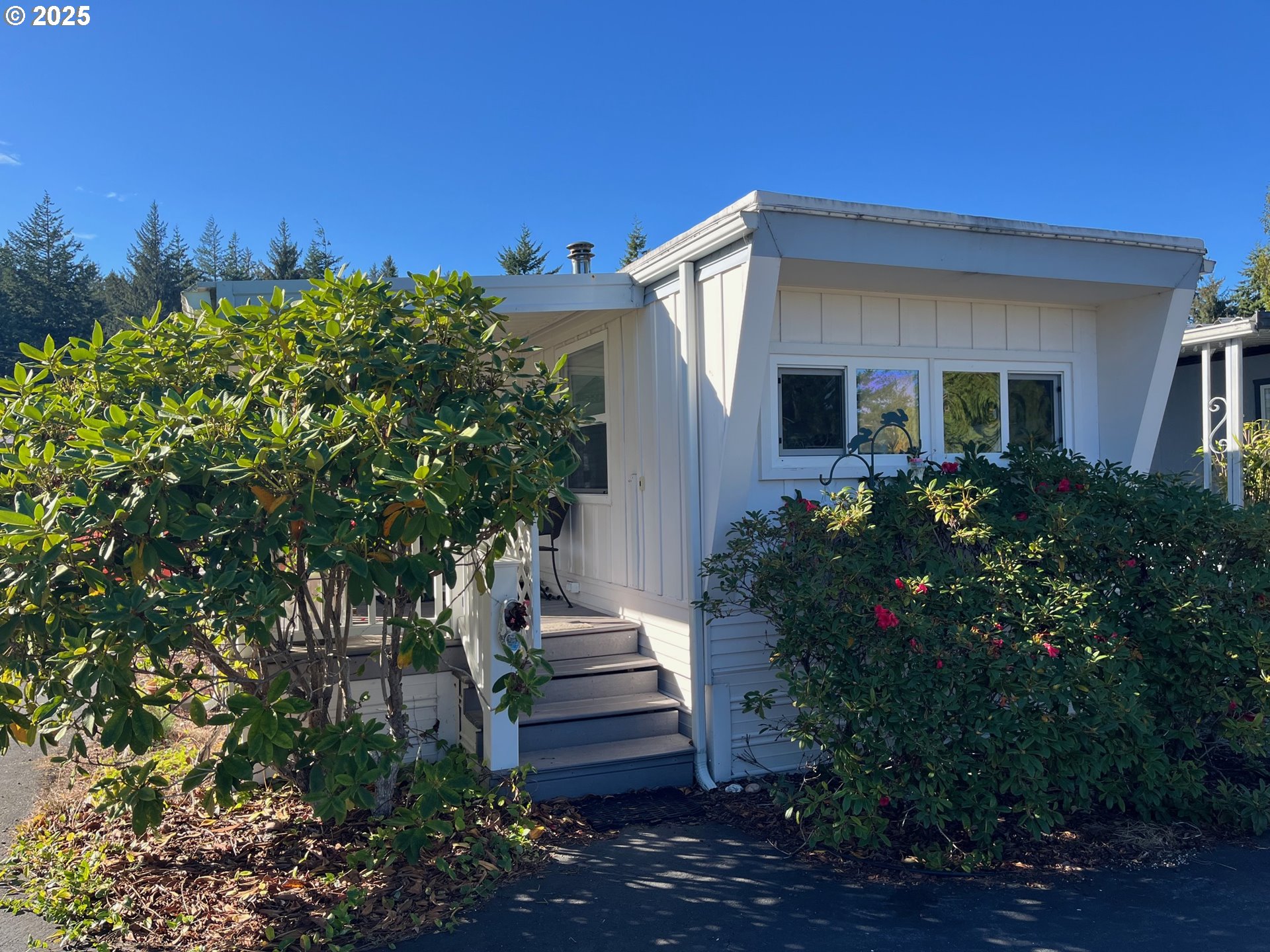 a house that has a tree in front of it