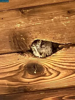 a view of ocean view