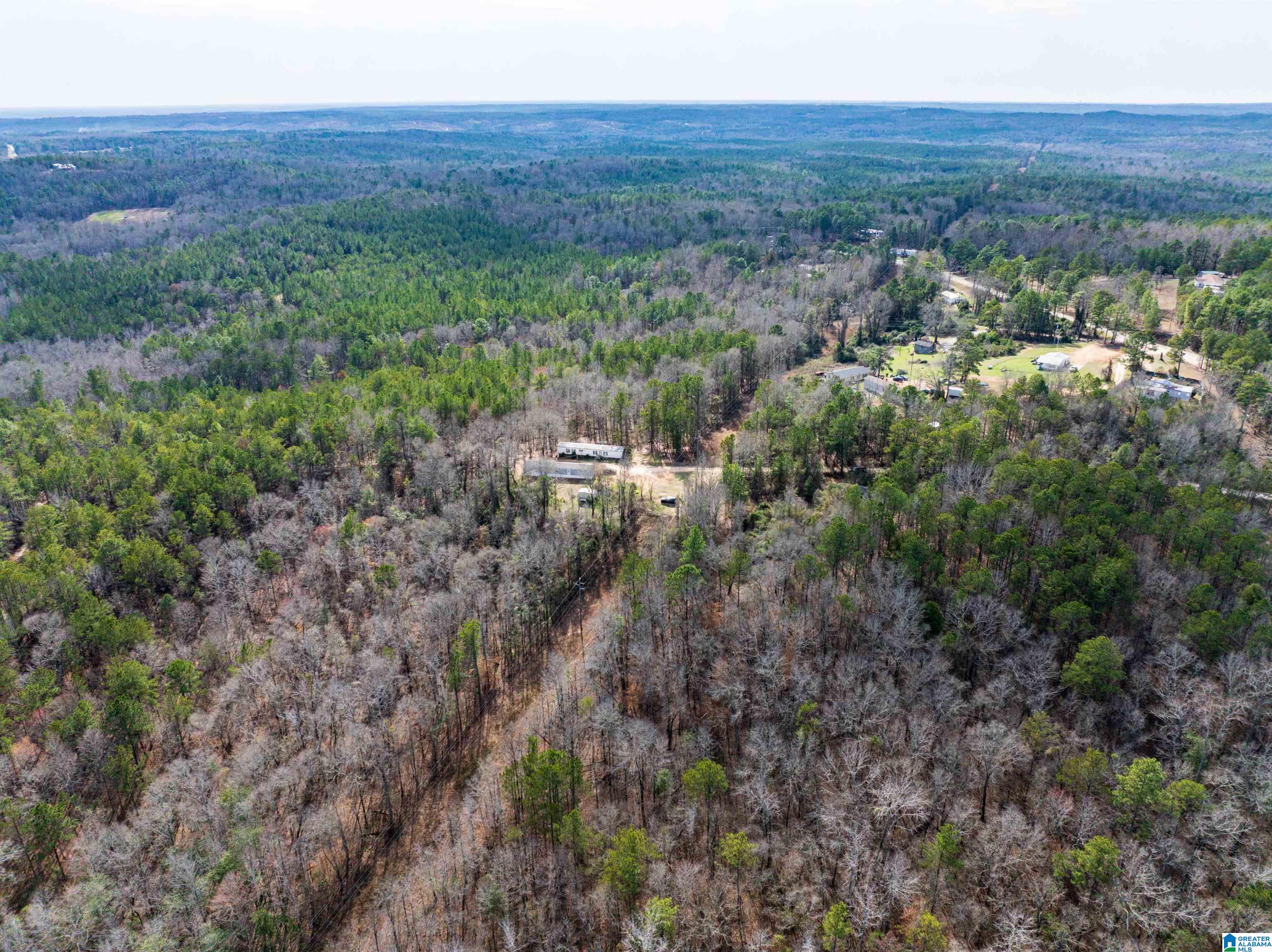 0 Flat Rock Road Tallassee, AL 36078 - Photo 4 of 13