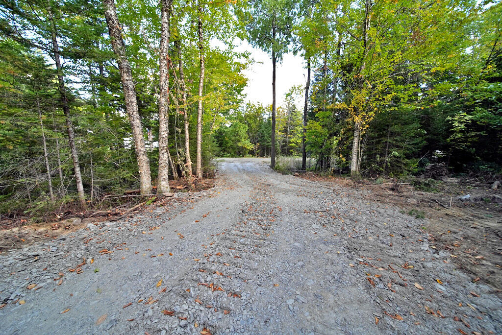 Off Lot 25 Off Road Smyrna Mills, ME 04780 - Photo 20 of 30 new-house-site-maine