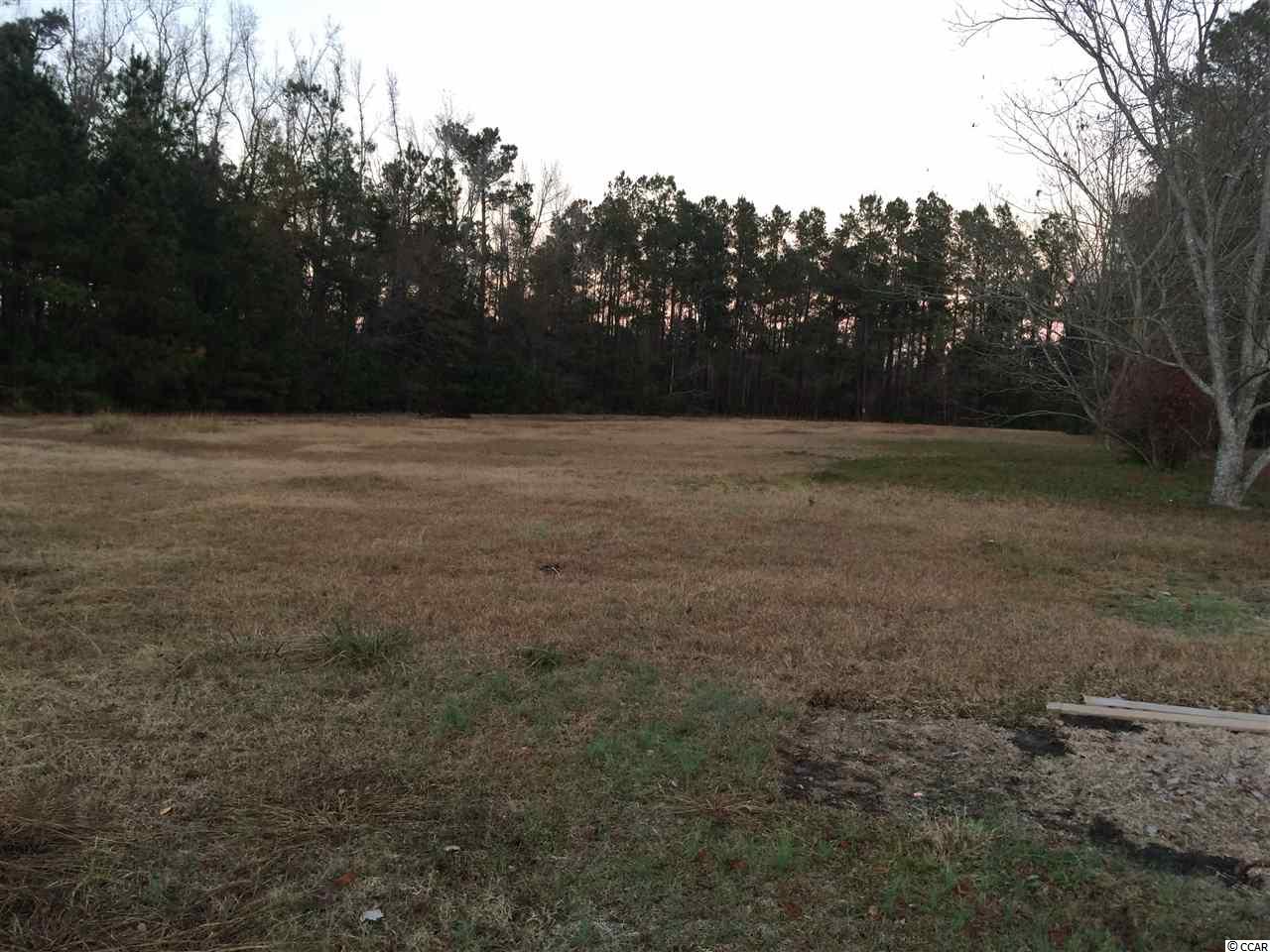 1890 St Luke Church Road Johnsonville, SC 29555 - Photo 3 of 3 Gallery Image 3