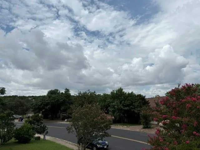 a view of a city with lush green forest