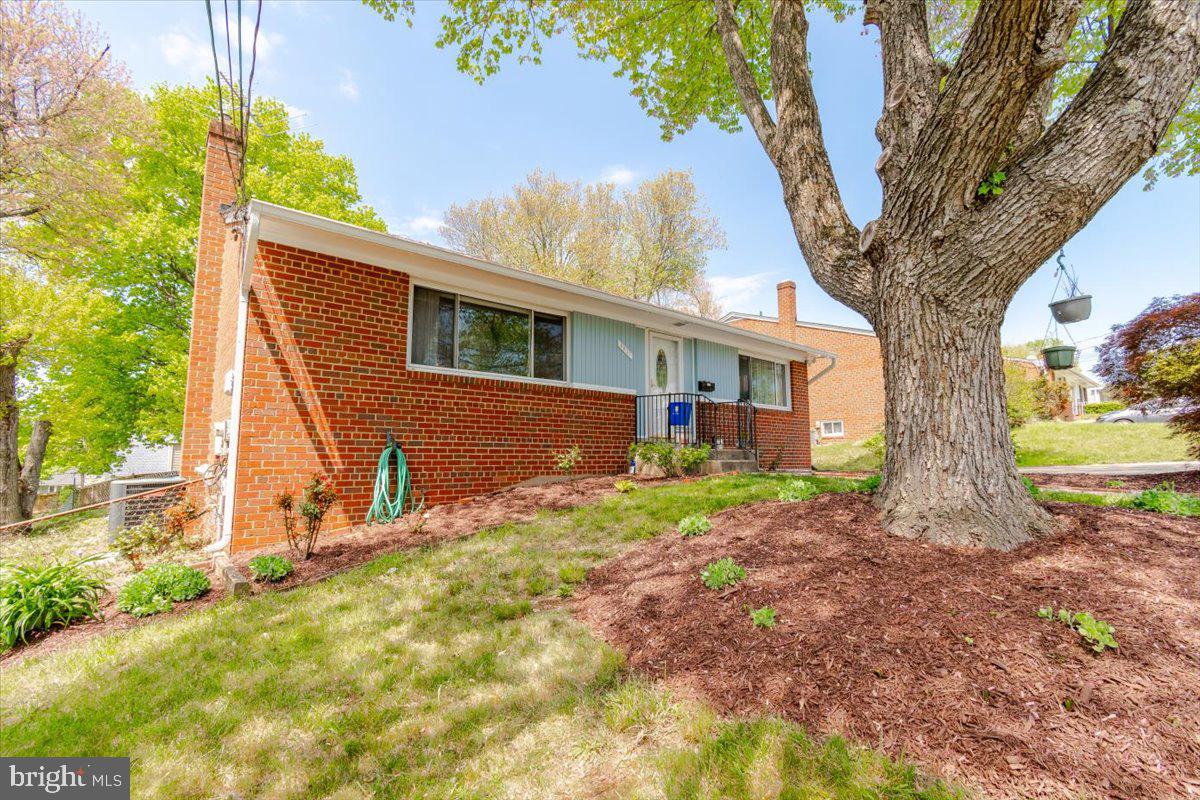 3517 Kayson Street Silver Spring, MD 20906 - Photo 7 of 58
