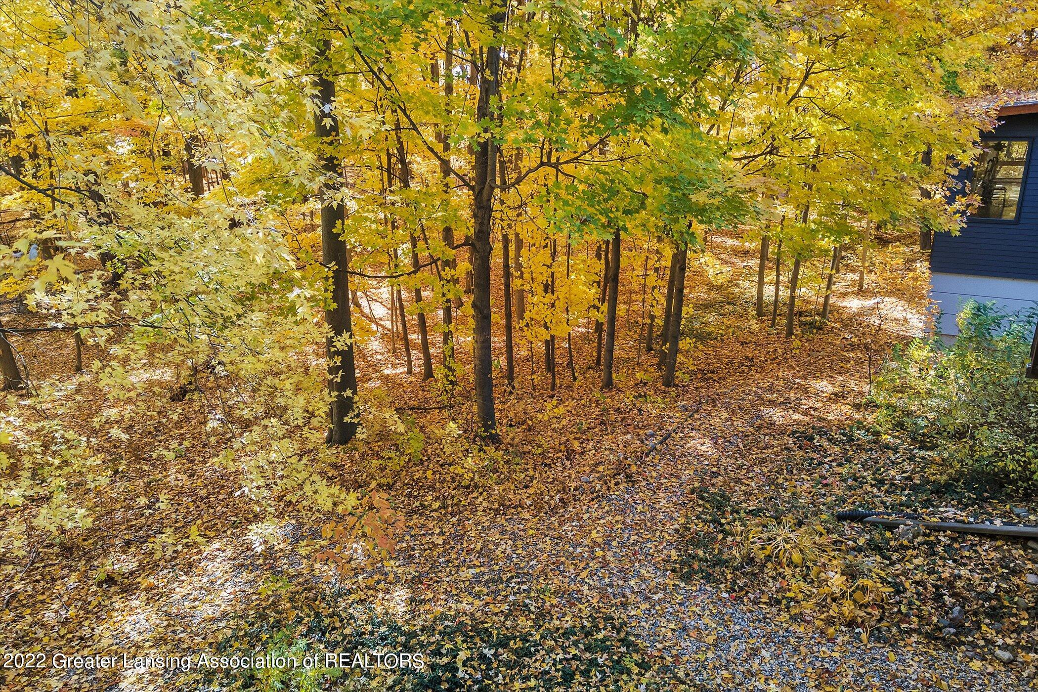2100 Holt Road Williamston, MI 48895 - Photo 49 of 53 Winding Pathways