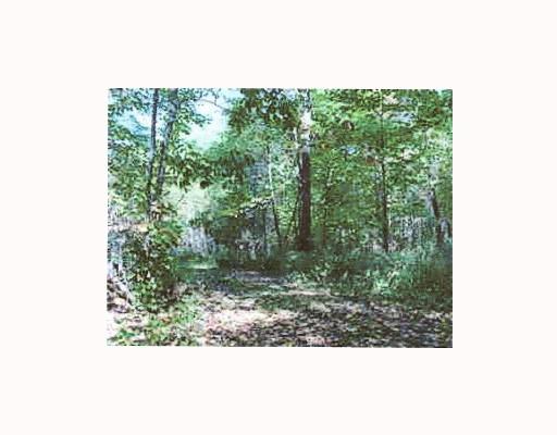 Timber Lane Markleton, PA 15551 - Photo 3 of 3 Land/Lot.
