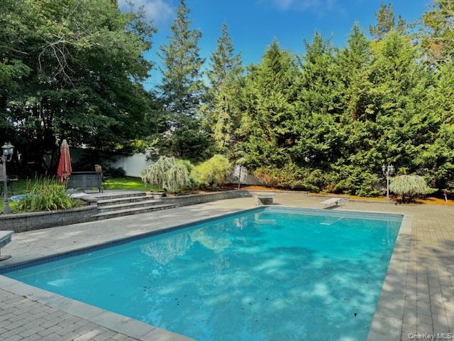 4 Halliday Road Coram, NY 11727 - Photo 3 of 19 a view of swimming pool from a yard
