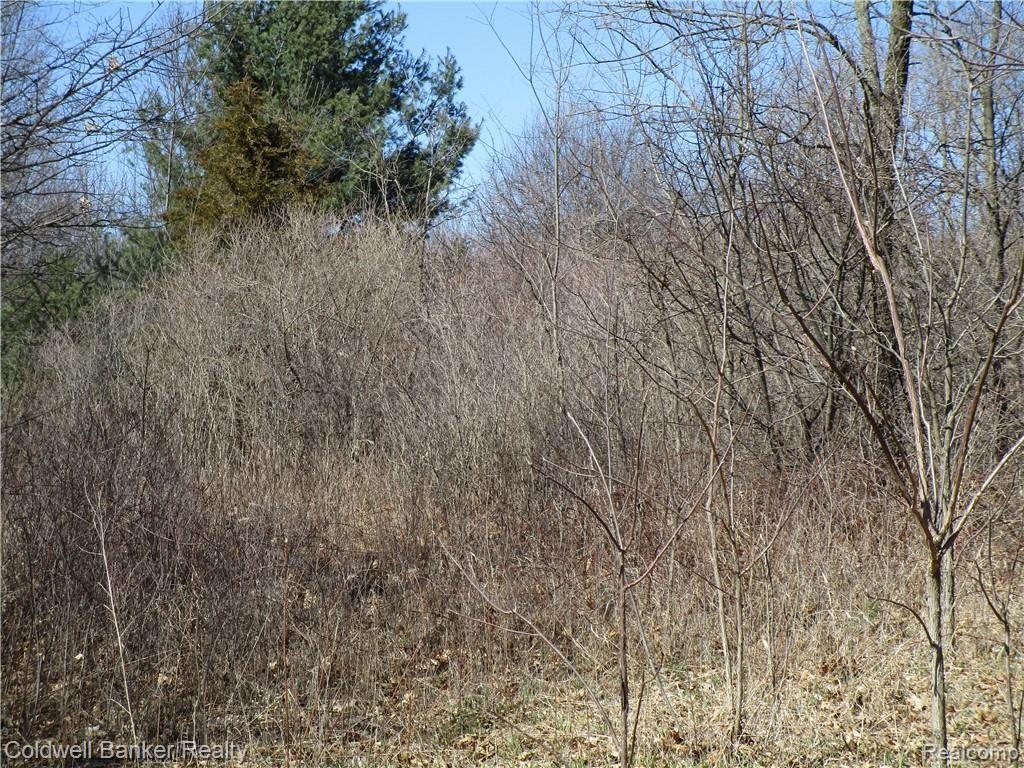0 Gregory Road Lake Orion, MI 48359 - Photo 5 of 5