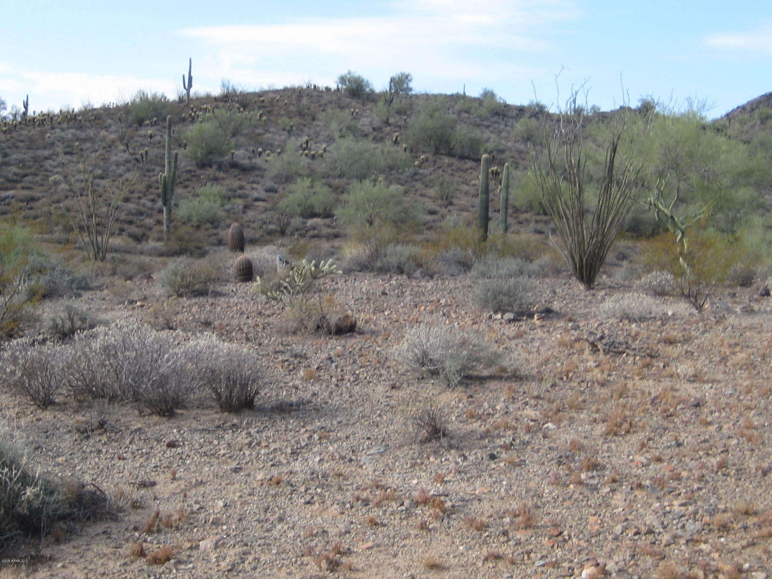 5-xx West Rock View Road, Unit 105 Phoenix, AZ 85085 - Photo 9 of 10 5xx Rock View 003