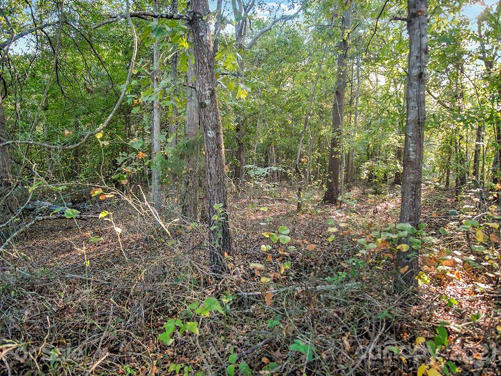 229 Oak Grove Road Kings Mountain, NC 28086 - Photo 36 of 37 Gallery Image 36