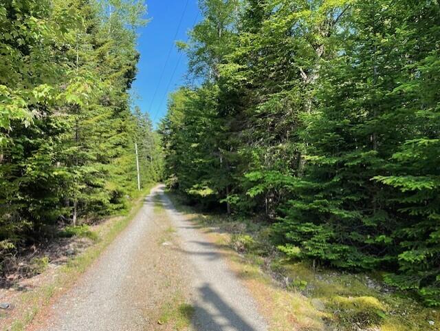 Lot 15-5 Fort Williams Road Harrington, ME 04643 - Photo 19 of 19