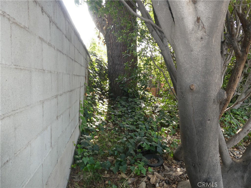 1532 Meadowbrook Road Altadena, CA 91001 - Photo 17 of 18 a close up of a plant in a garden