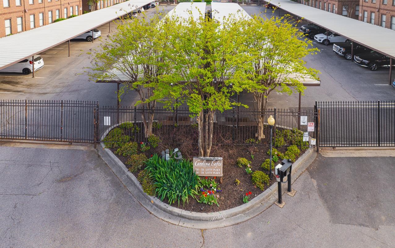 a view of a backyard