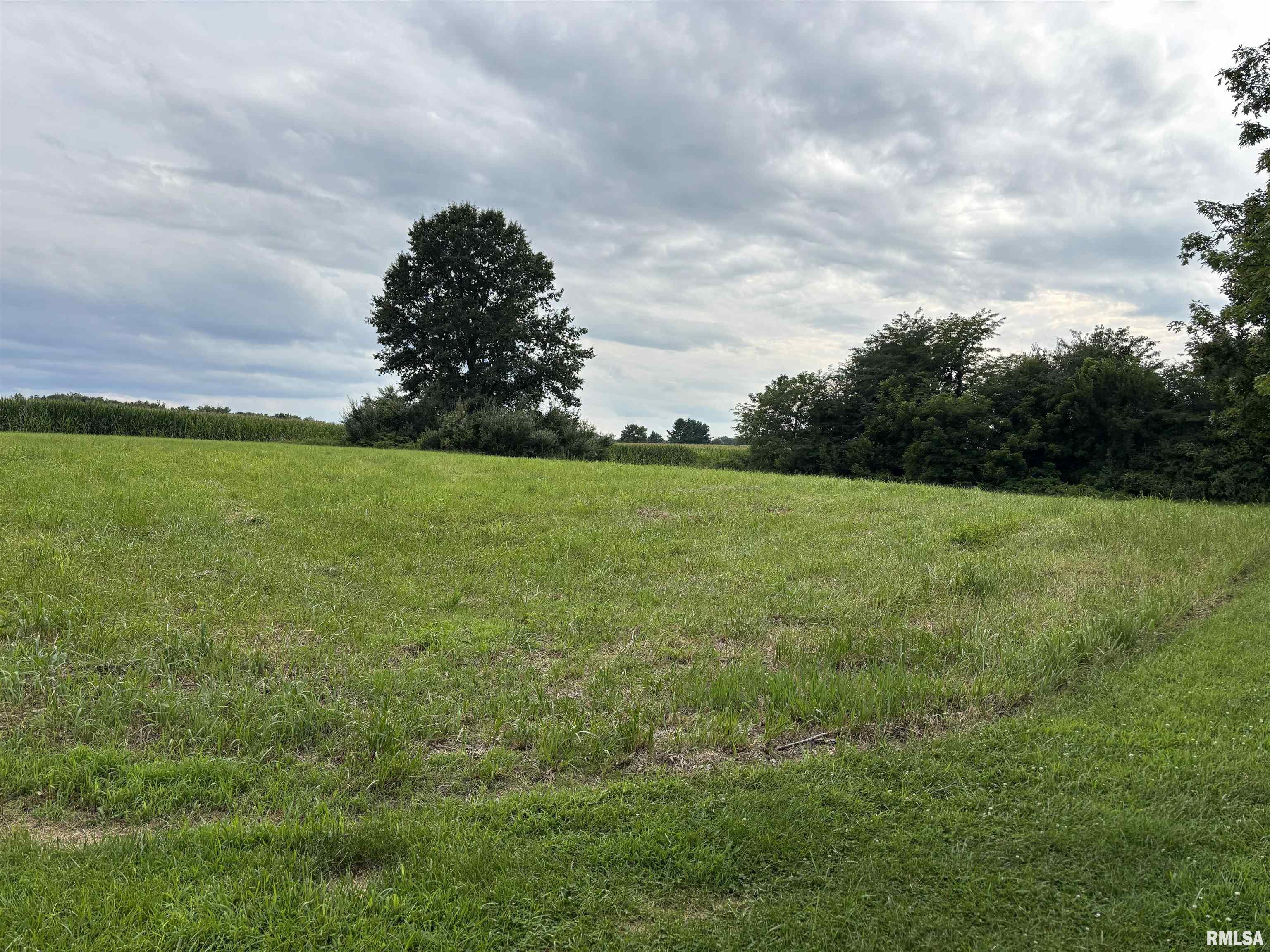 4842 Spaulding Orchard Road Chatham, IL 62629 - Photo 61 of 75 Gallery Image 61