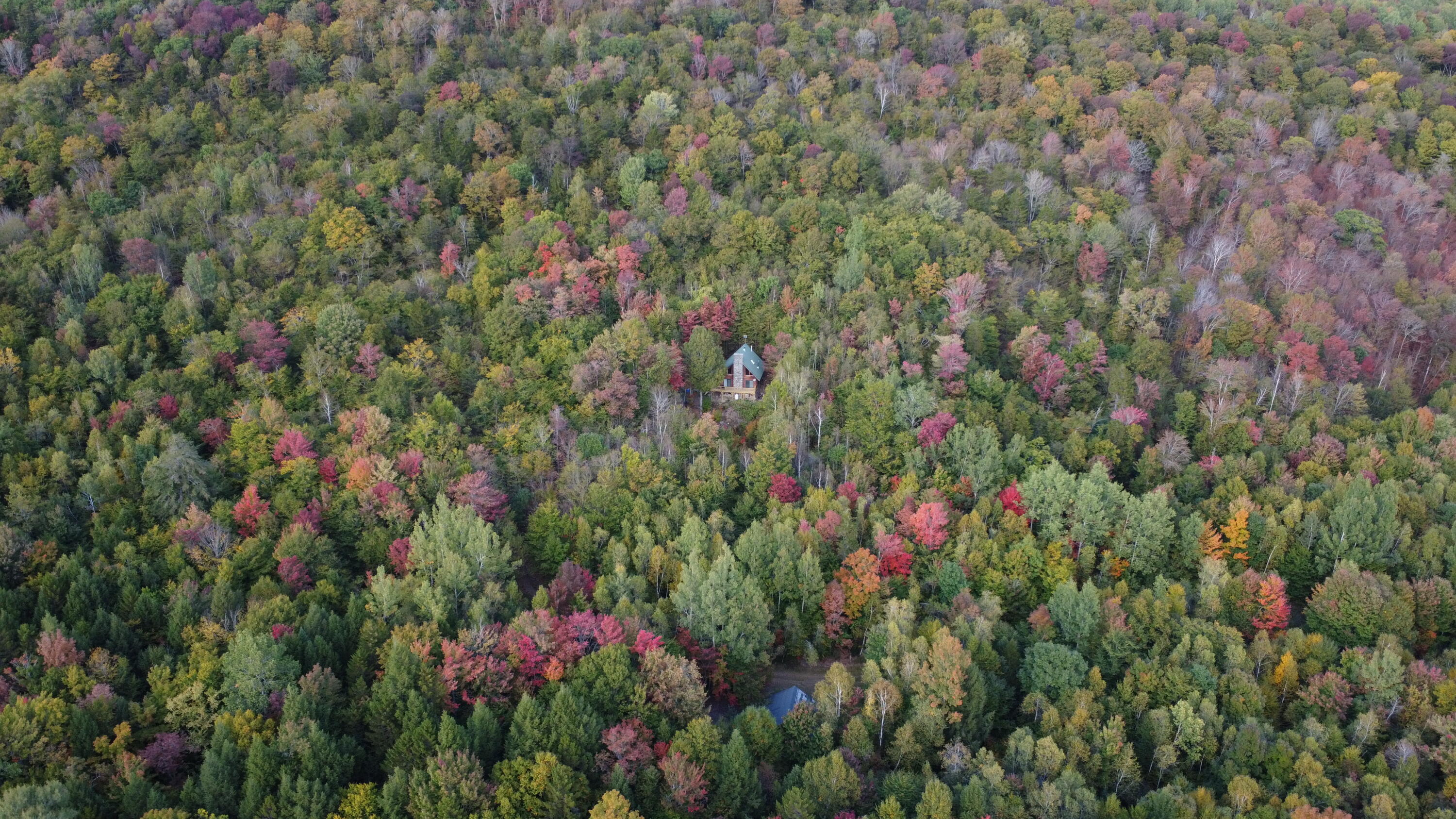 46 Toad Run Road Carroll Plt, ME 04487 - Photo 9 of 46 dji_fly_20250924_170944_234_175874819870