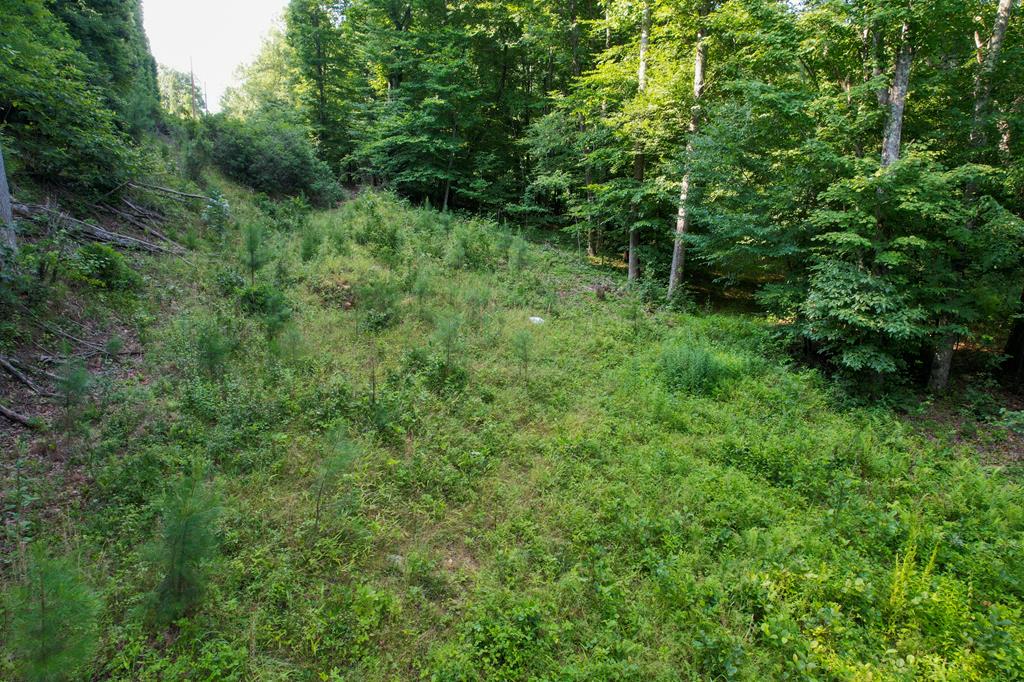 0 Lackey Road, Unit TRACT C Stuart, VA 24171 - Photo 9 of 16 Gallery Image 9