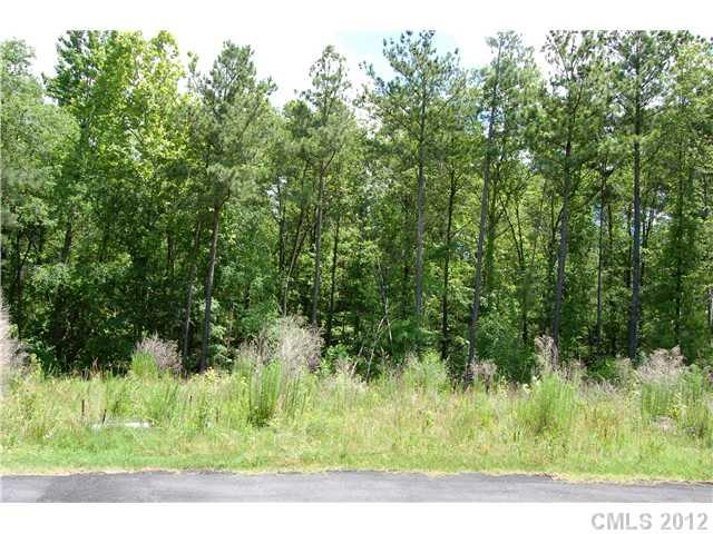 Lot 23 Lometa Road, Unit 23 York, SC 29745 - Photo 1 of 4 Gallery Image 1