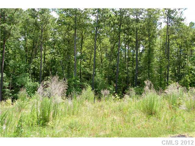Lot 23 Lometa Road, Unit 23 York, SC 29745 - Photo 3 of 4 Gallery Image 3