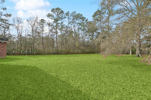 46425 Country Lane Hammond, LA 70401 - Photo 16 of 18