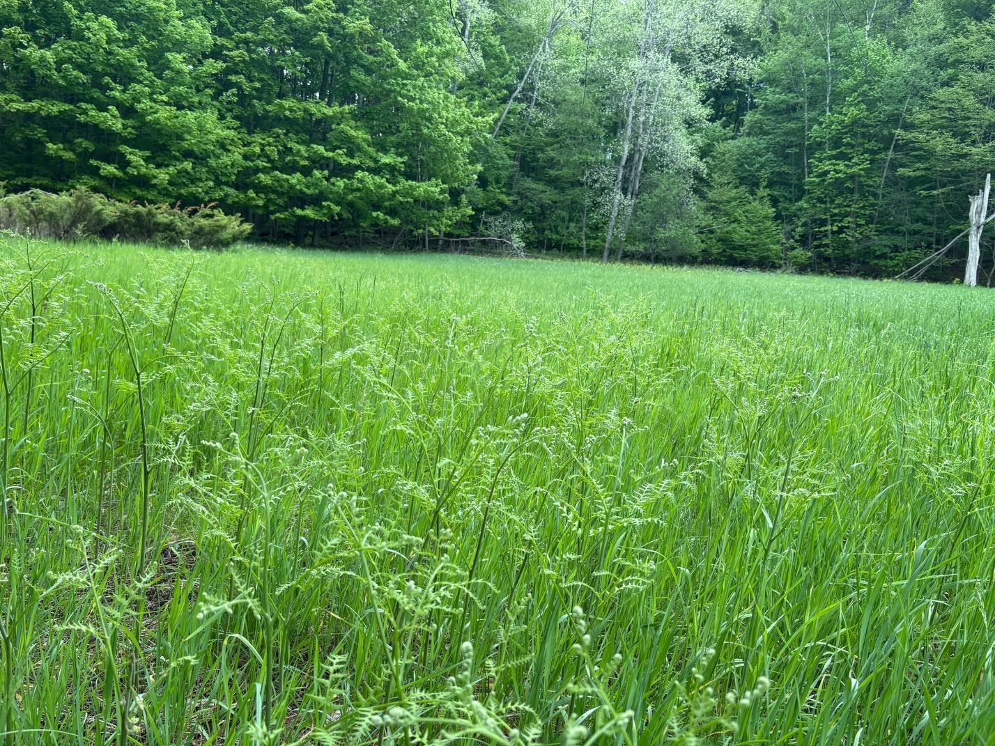 13631 Beaver Pond Road Empire, MI 49630 - Photo 37 of 55