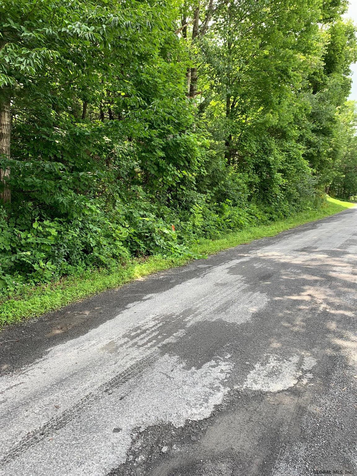 0 Echo Point Road Berne, NY 12023 - Photo 1 of 8 Photo 1