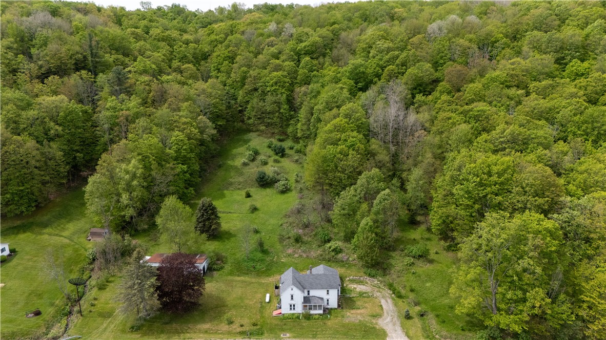 9127 State Rte 21 Fremont, NY 14826 - Photo 4 of 35 Aerial view