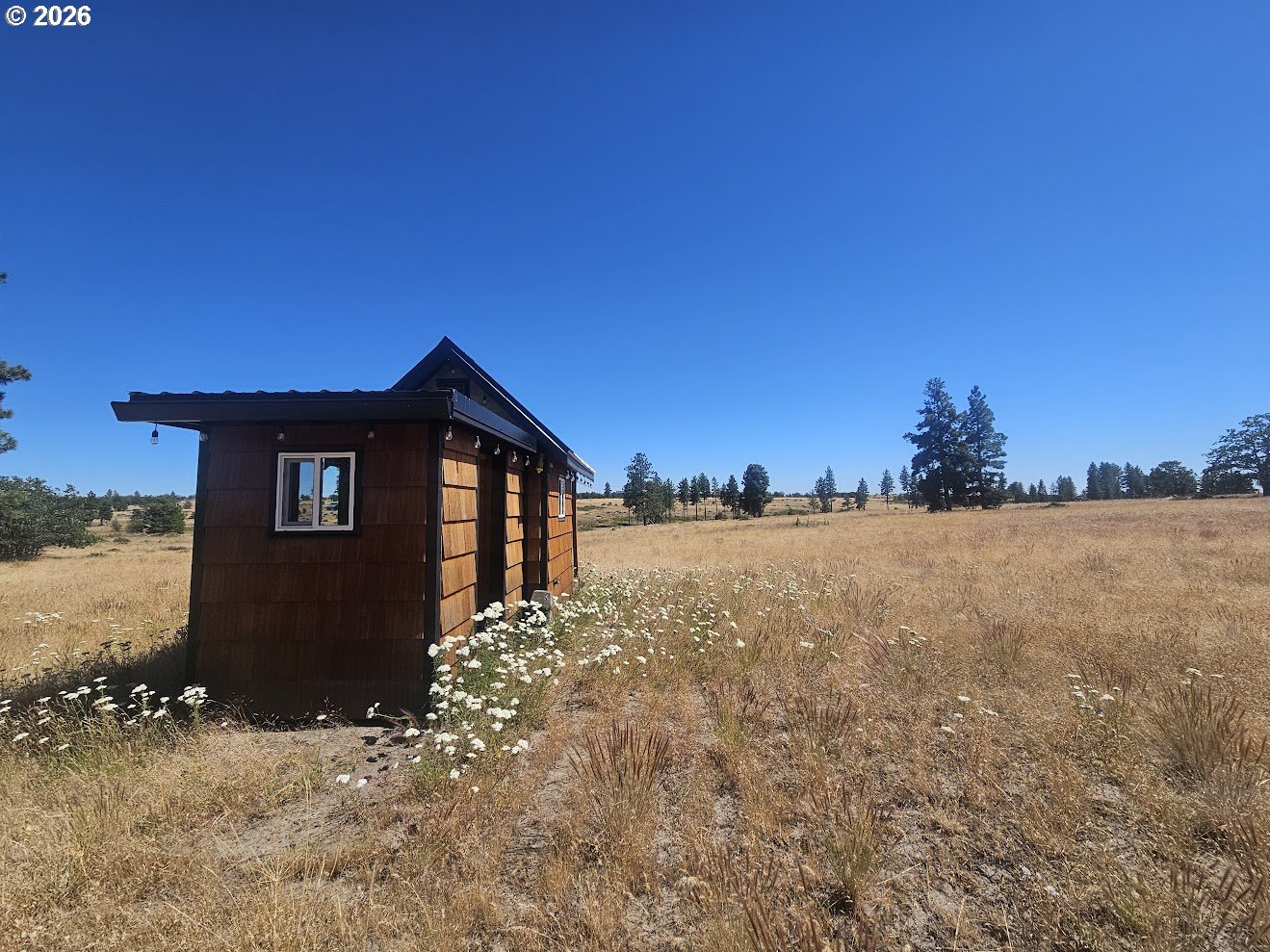 67 Timber Lane Roosevelt, WA 99356 - Photo 35 of 37 a view of a house with a yard