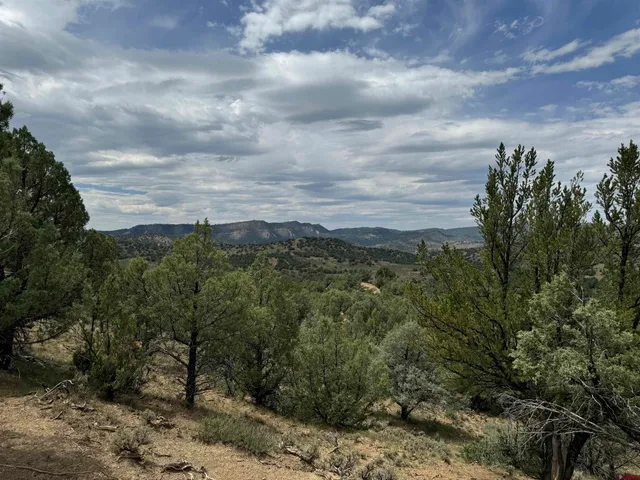 a view of a yard with an outdoor space