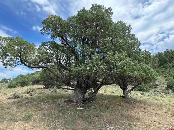 $175,902 | 2241 South Rockcliff Circle, Pagosa Springs, CO 81147