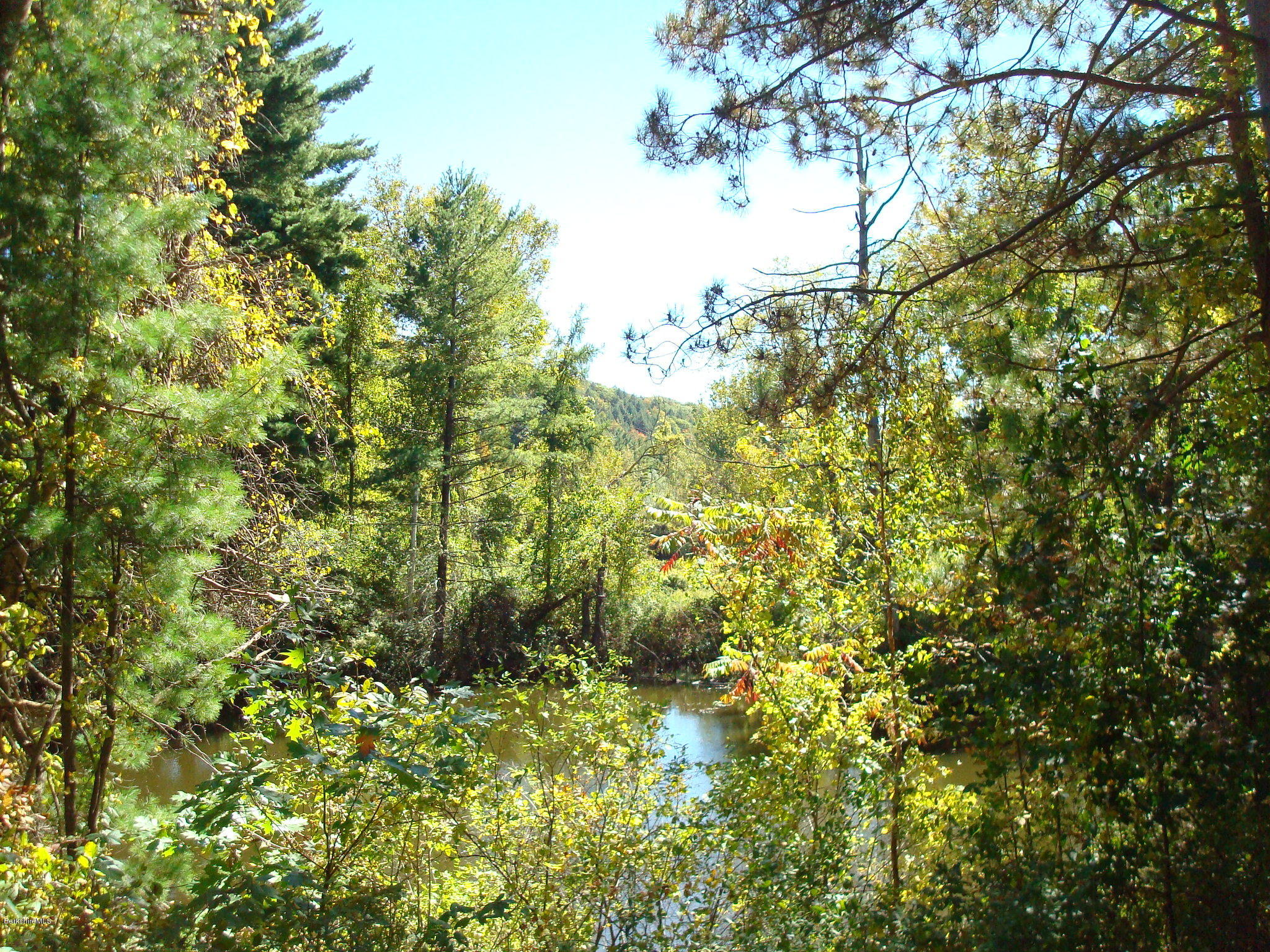 1151 E Road Richmond, MA 01254 - Photo 5 of 33 a view of a tree with a tree