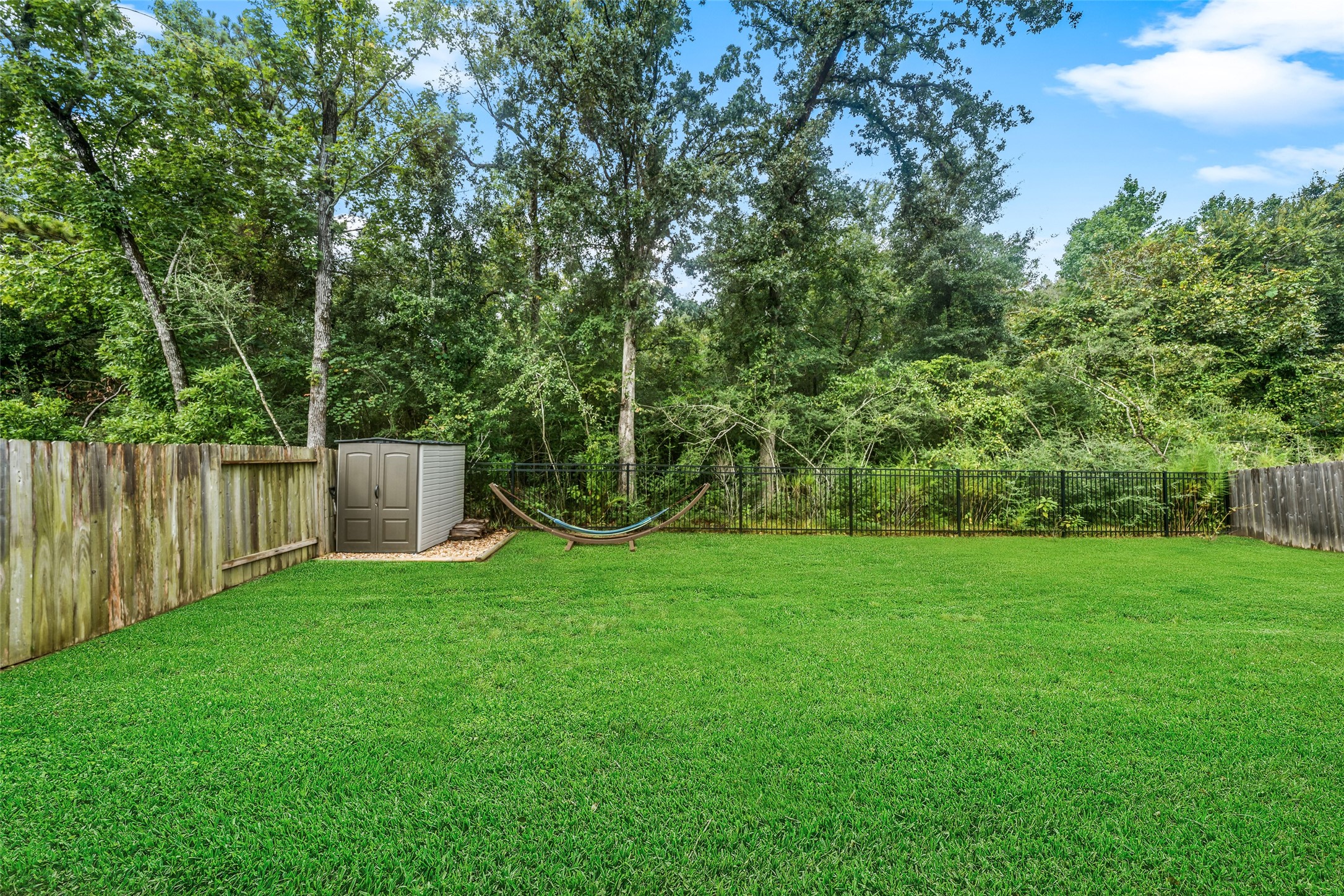 116 Stephens Ridge Lane Montgomery, TX 77316 - Photo 6 of 45 Backyard adjoins neighborhood green space - fully wooded - no back neighbors!