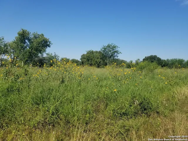 $35,000 | 0 West Fm 673, Beeville, TX 78102