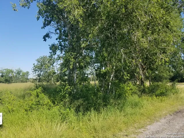 $35,000 | 0 West Fm 673, Beeville, TX 78102