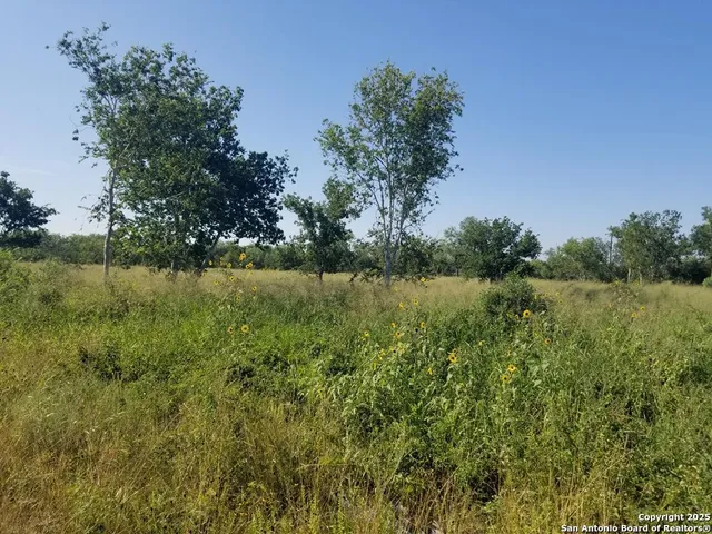 $35,000 | 0 West Fm 673, Beeville, TX 78102