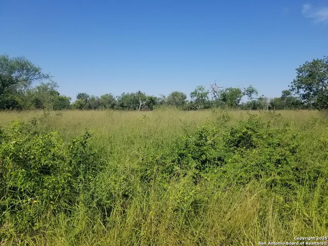 $35,000 | 0 West Fm 673, Beeville, TX 78102