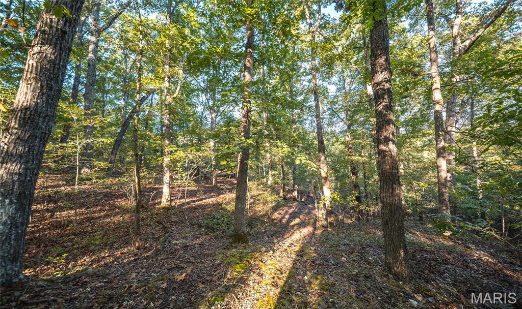 10206 Slice Road Sullivan, MO 63080 - Photo 48 of 66 Gallery Image 48