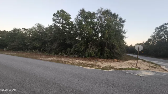 $29,900 | Lot 29 Deer Court, Chipley, FL 32428