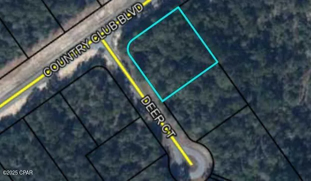 $29,900 | Lot 29 Deer Court, Chipley, FL 32428