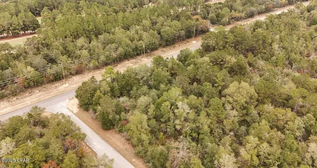 $29,900 | Lot 29 Deer Court, Chipley, FL 32428