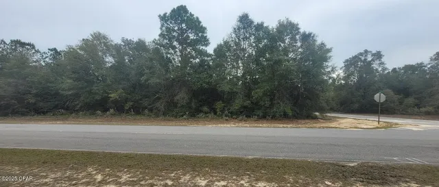 $29,900 | Lot 29 Deer Court, Chipley, FL 32428