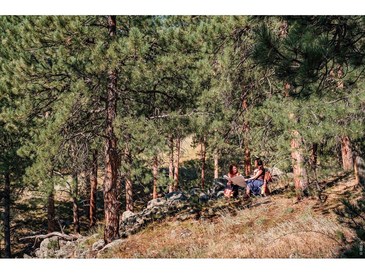 695 Cutter Lane Boulder, CO 80302 - Photo 6 of 20 a view of outdoor space