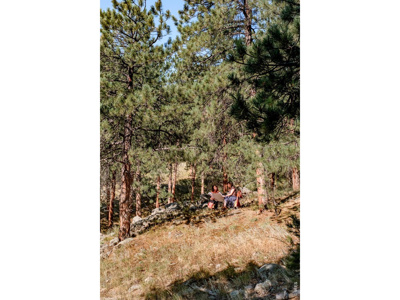 695 Cutter Lane Boulder, CO 80302 - Photo 7 of 20 a view of outdoor space and patio