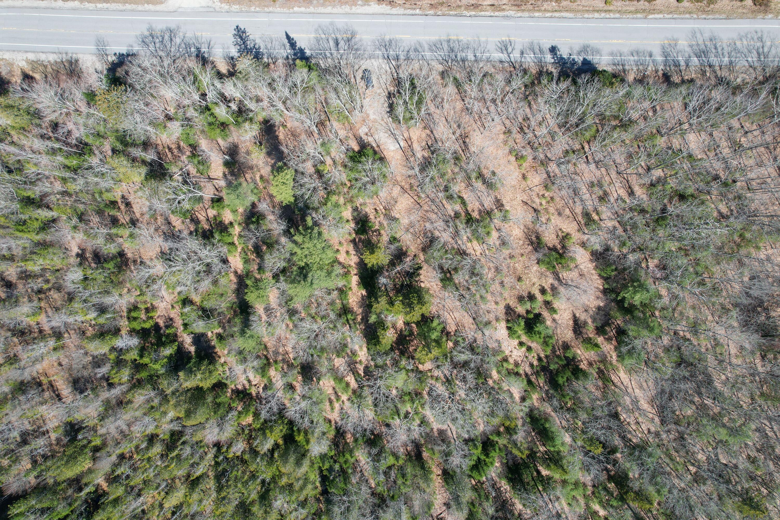 4 Blackswoods Road Franklin, ME 04634 - Photo 13 of 19 DJI_0524