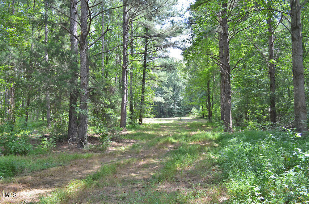 6308 Lancaster Store Road Spring Hope, NC 27882 - Photo 23 of 48 23