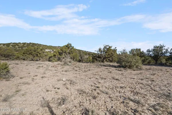 a view of a dry yard with mountains in the background