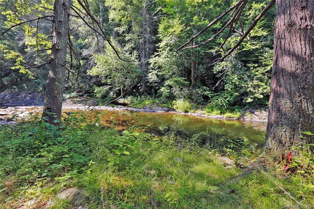 406 Sharp Mountain Road Canton, NC 28716 - Photo 16 of 21